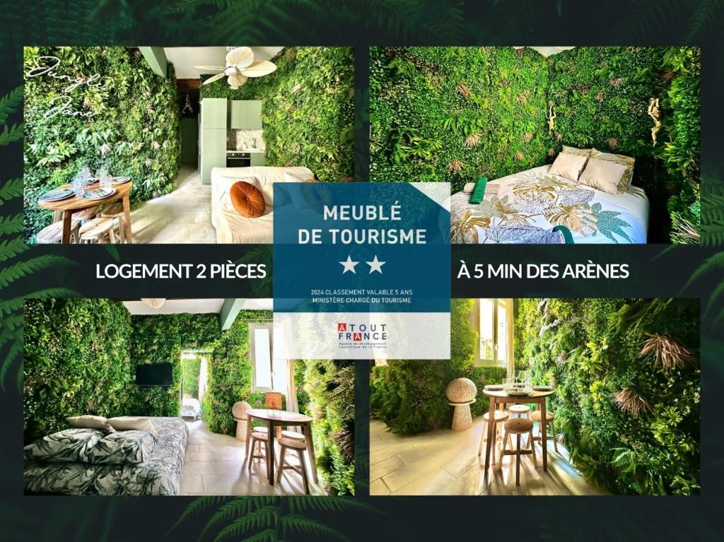 Piscine et terrasse